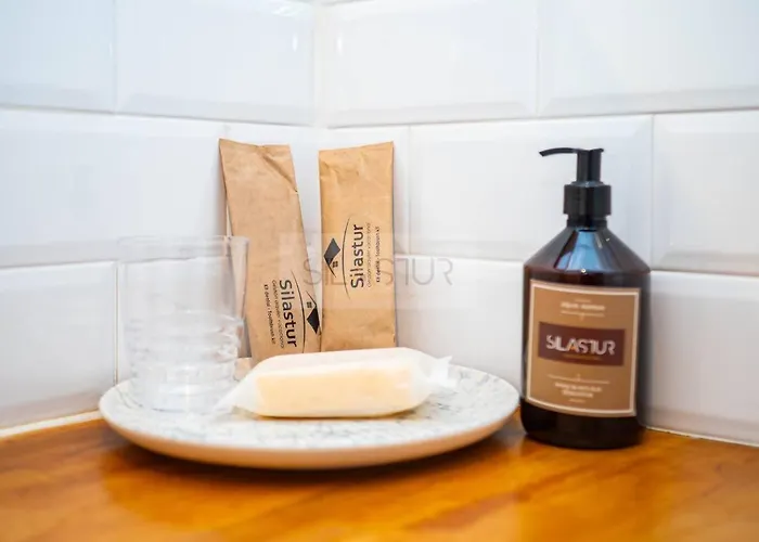 Appartement Figaro By Silastur Gijón